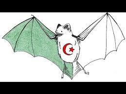 algerian-bat-group